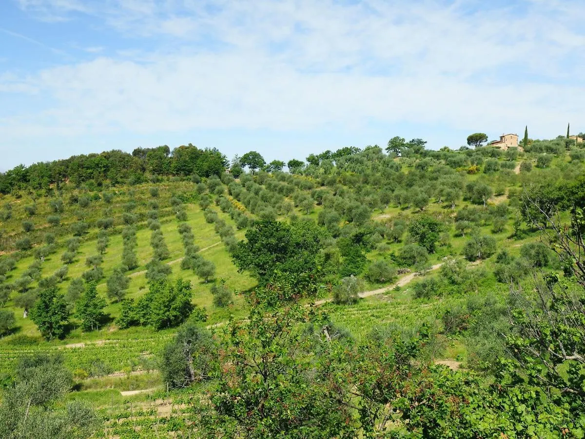 Holiday Home Poggio Velluto By Interhome Seggiano 0*,